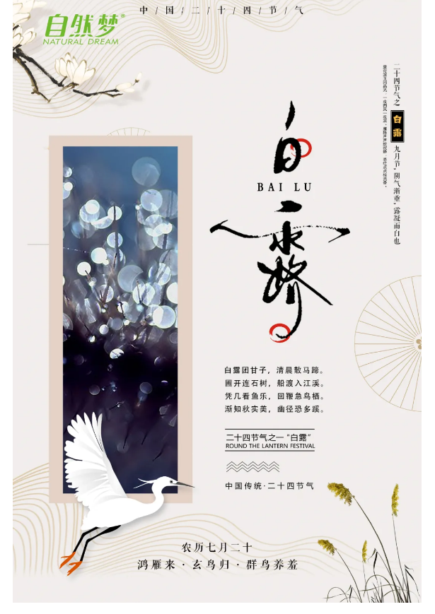 草莓视频网站床垫