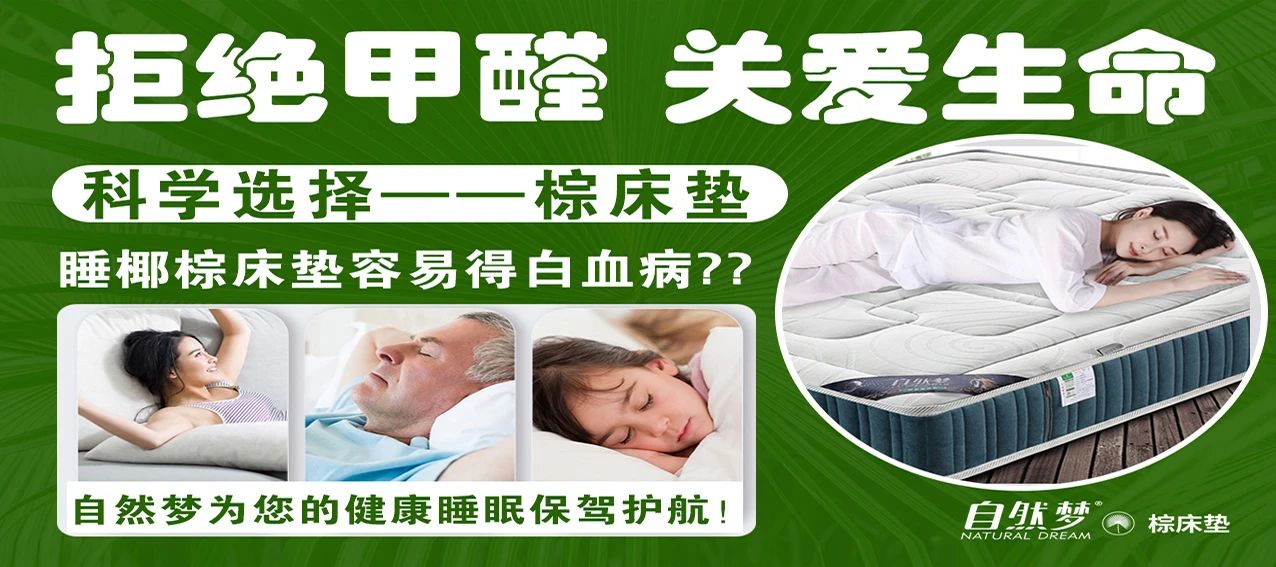 棕床垫 棕床垫