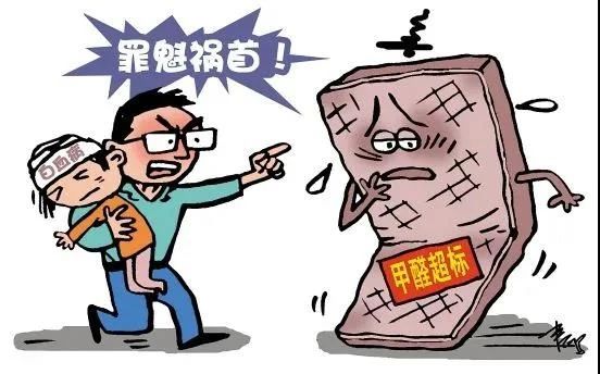 棕床垫 棕床垫